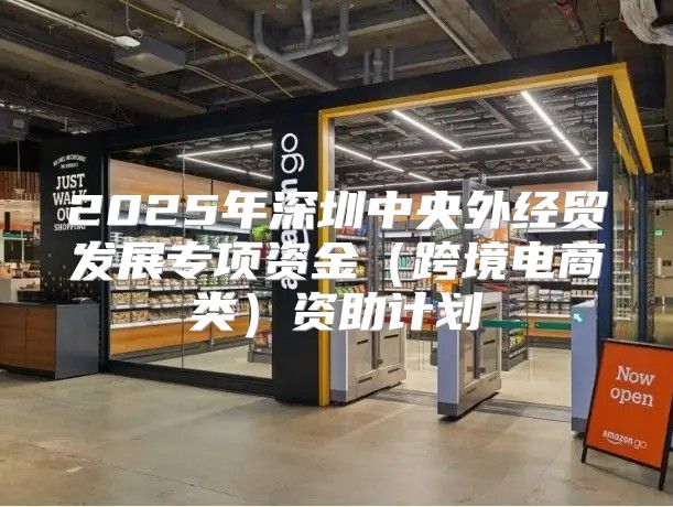 2025年深圳中央外经贸发展专项资金跨境电商类资助计划