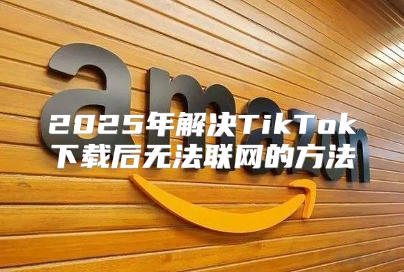 2025年解决TikTok下载后无法联网的方法