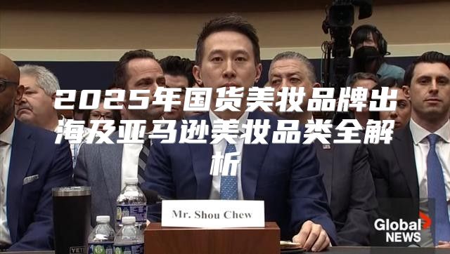 2025年国货美妆品牌出海及亚马逊美妆品类全解析