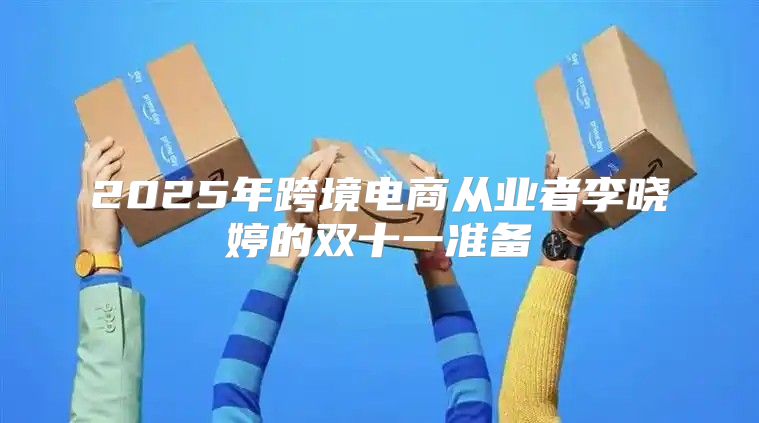 2025年跨境电商从业者李晓婷的双十一准备