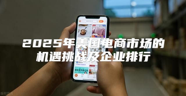 2025年美国电商市场的机遇挑战及企业排行