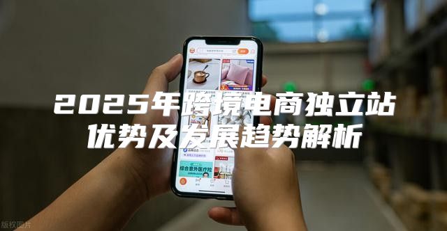 2025年跨境电商独立站优势及发展趋势解析