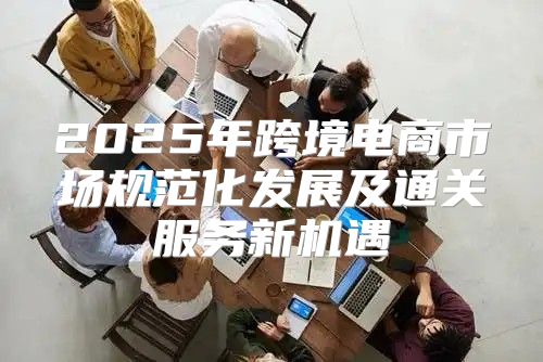 2025年跨境电商市场规范化发展及通关服务新机遇