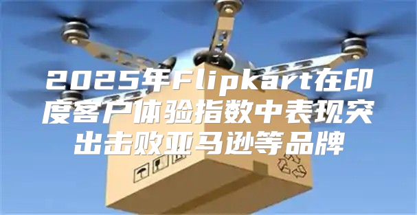 2025年Flipkart在印度客户体验指数中表现突出击败亚马逊等品牌