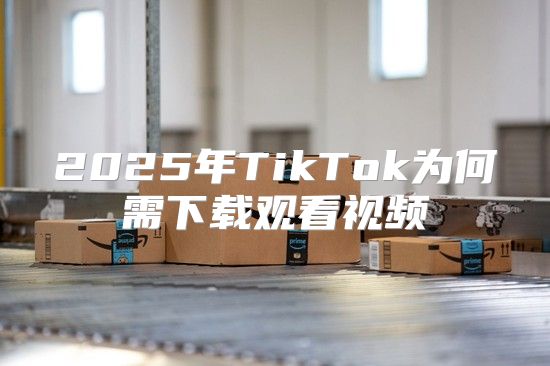 2025年TikTok为何需下载观看视频