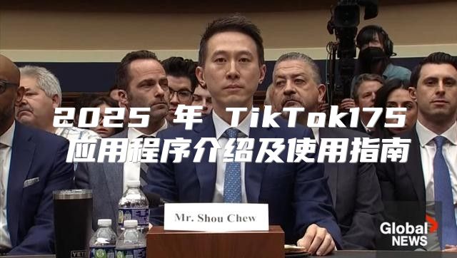 2025 年 TikTok175 应用程序介绍及使用指南