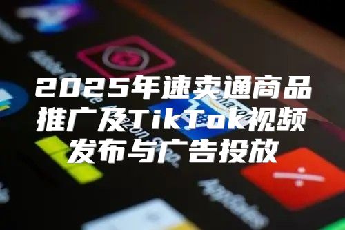 2025年速卖通商品推广及TikTok视频发布与广告投放