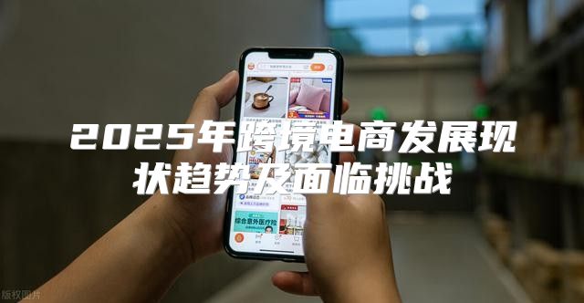 2025年跨境电商发展现状趋势及面临挑战