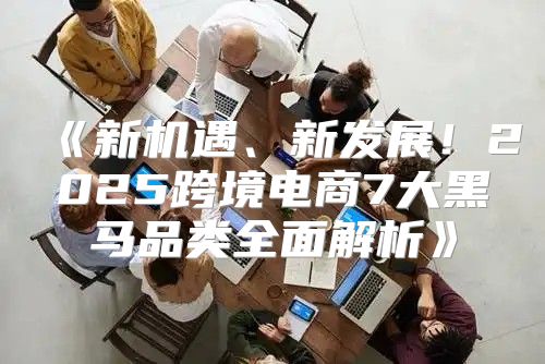 新机遇、新发展！2025跨境电商7大黑马品类全面解析