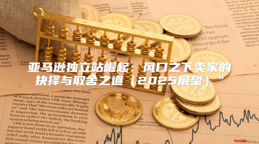 亚马逊独立站崛起：风口之下卖家的抉择与取舍之道2025展望”