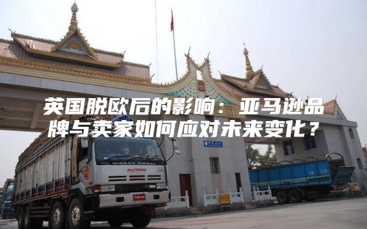 英国脱欧后的影响：亚马逊品牌与卖家如何应对未来变化？