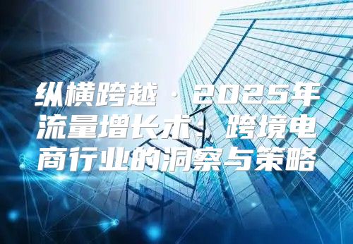 纵横跨越·2025年流量增长术：跨境电商行业的洞察与策略