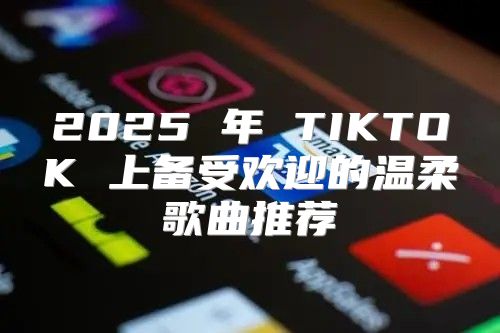 2025 年 TIKTOK 上备受欢迎的温柔歌曲推荐