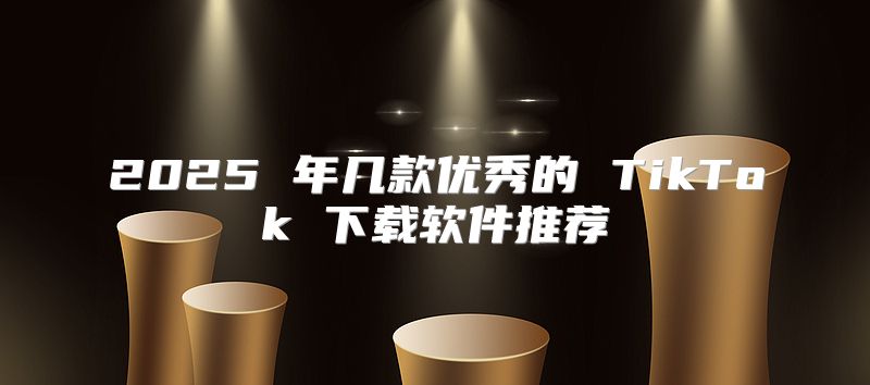 2025 年几款优秀的 TikTok 下载软件推荐