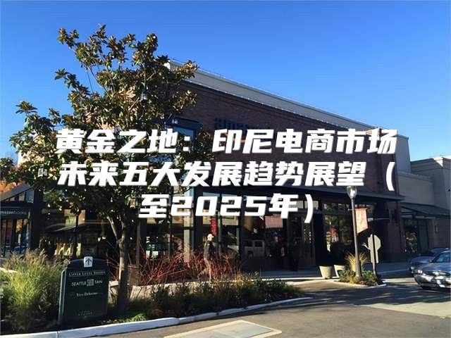 黄金之地：印尼电商市场未来五大发展趋势展望至2025年