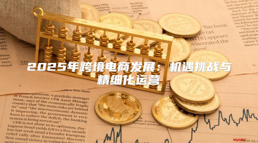 2025年跨境电商发展：机遇挑战与精细化运营