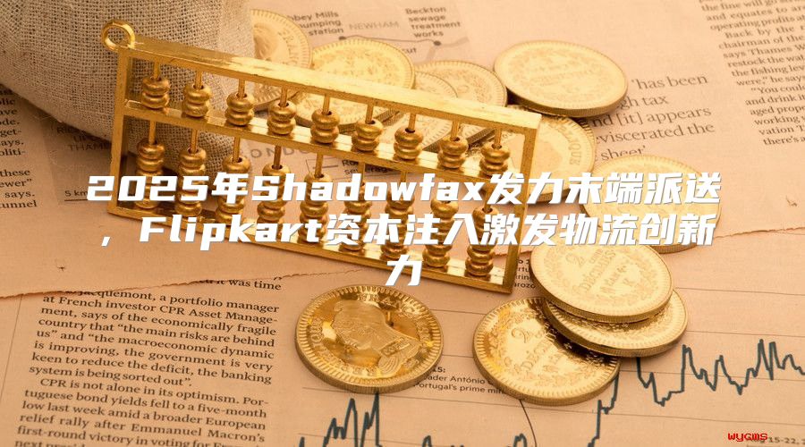 2025年Shadowfax发力末端派送，Flipkart资本注入激发物流创新力