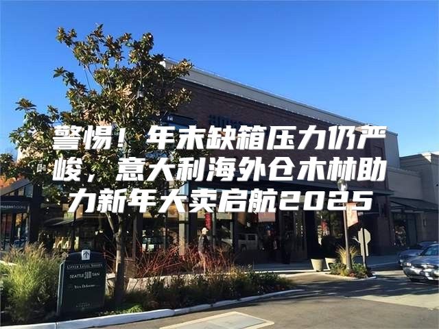 警惕！年末缺箱压力仍严峻，意大利海外仓木林助力新年大卖启航2025