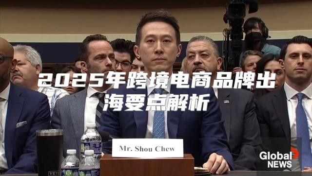 2025年跨境电商品牌出海要点解析