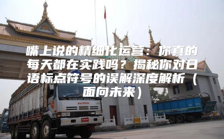 嘴上说的精细化运营：你真的每天都在实践吗？揭秘你对日语标点符号的误解深度解析面向未来