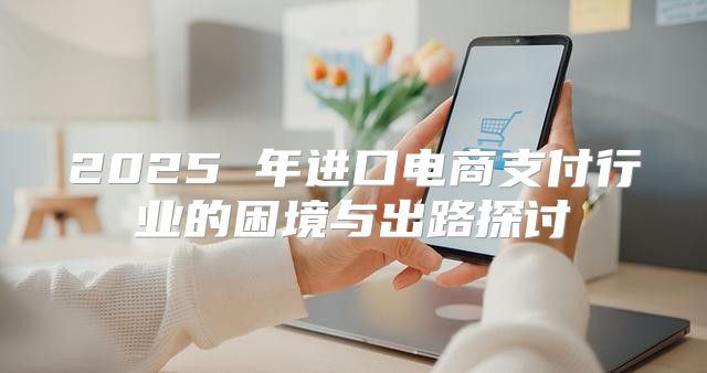 2025 年进口电商支付行业的困境与出路探讨