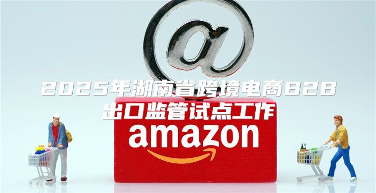 2025年湖南省跨境电商B2B出口监管试点工作