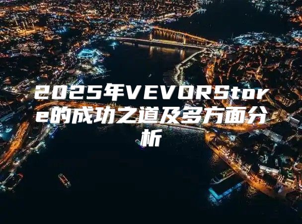 2025年VEVORStore的成功之道及多方面分析