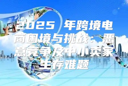2025 年跨境电商困境与挑战：恶意竞争及中小卖家生存难题