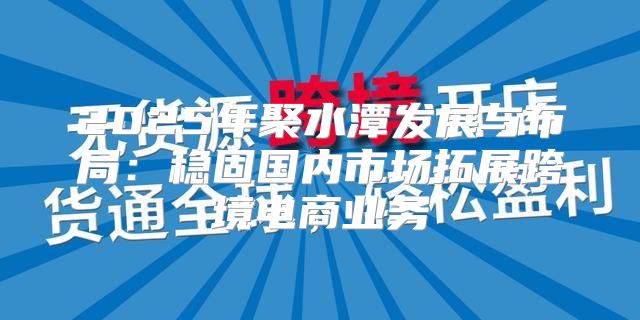 2025年聚水潭发展与布局：稳固国内市场拓展跨境电商业务