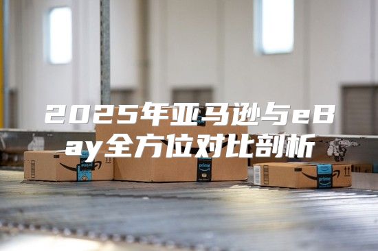 2025年亚马逊与eBay全方位对比剖析