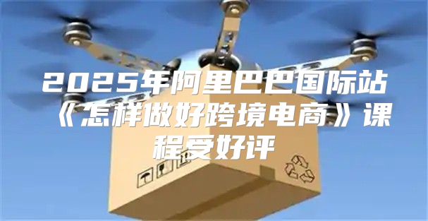 2025年阿里巴巴国际站怎样做好跨境电商课程受好评