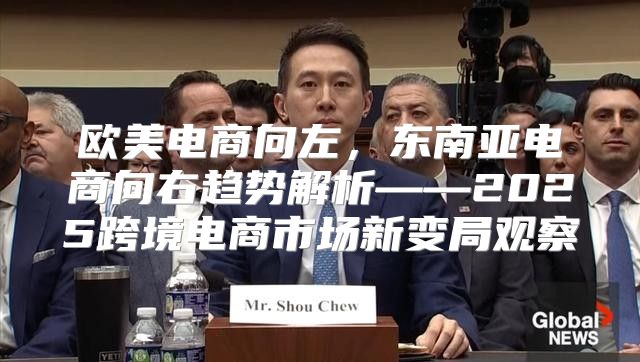 欧美电商向左，东南亚电商向右趋势解析——2025跨境电商市场新变局观察