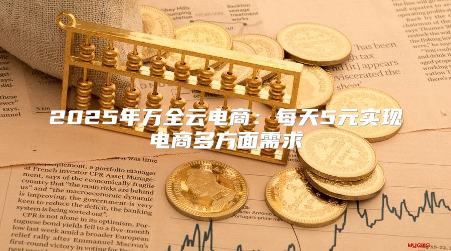 2025年万全云电商：每天5元实现电商多方面需求