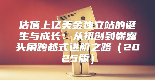 估值上亿美金独立站的诞生与成长：从初创到崭露头角跨越式进阶之路2025版