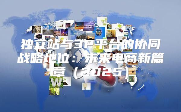 独立站与3P平台的协同战略地位：未来电商新篇章2025