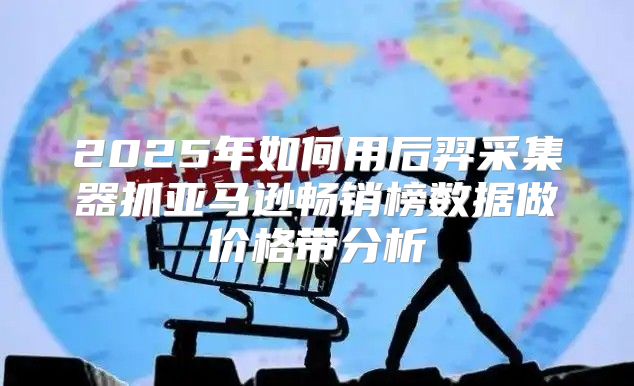 2025年如何用后羿采集器抓亚马逊畅销榜数据做价格带分析