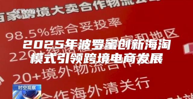 2025年波罗蜜创新海淘模式引领跨境电商发展