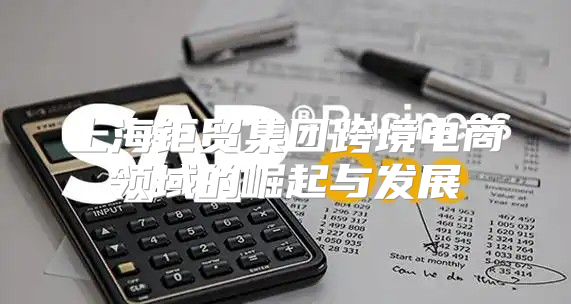 上海钜贸集团跨境电商领域的崛起与发展