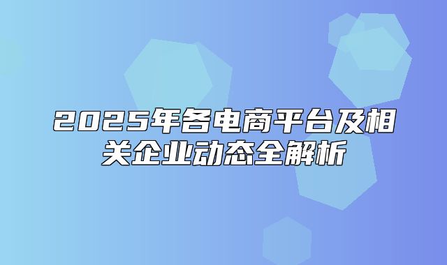 2025年各电商平台及相关企业动态全解析