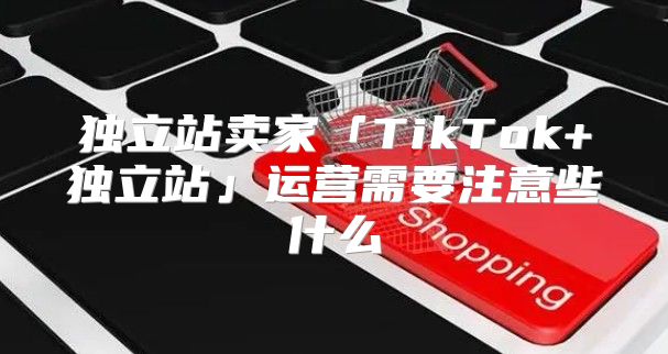 独立站卖家「TikTok+独立站」运营需要注意些什么