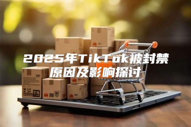 2025年TikTok被封禁原因及影响探讨