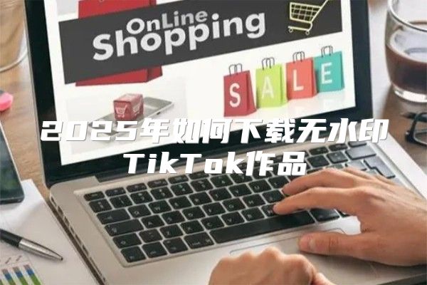 2025年如何下载无水印TikTok作品