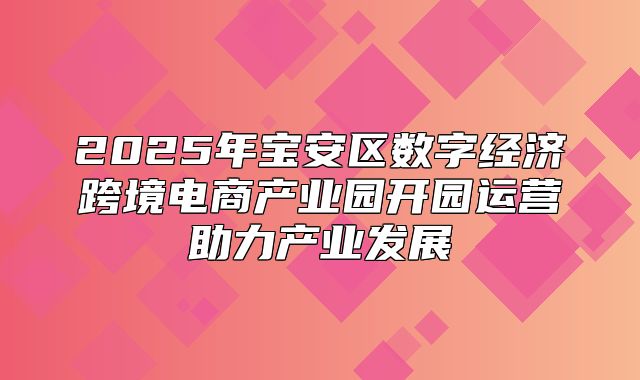 2025年宝安区数字经济跨境电商产业园开园运营助力产业发展