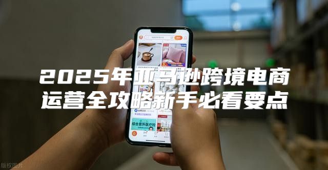 2025年亚马逊跨境电商运营全攻略新手必看要点