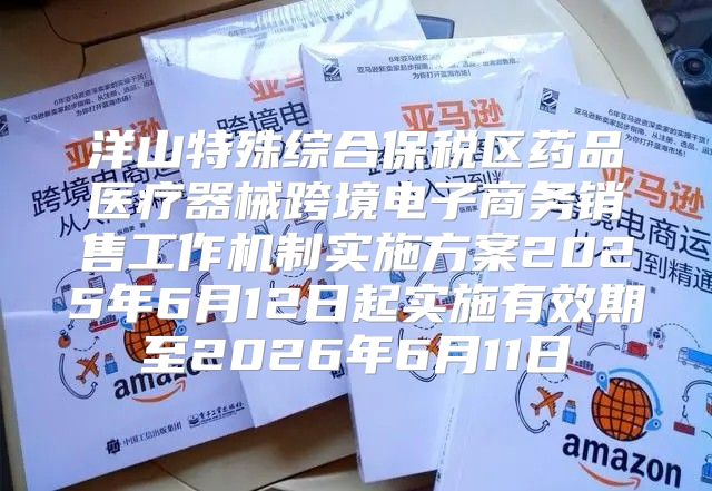 洋山特殊综合保税区药品医疗器械跨境电子商务销售工作机制实施方案2025年6月12日起实施有效期至2026年6月11日