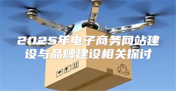 2025年电子商务网站建设与品牌建设相关探讨
