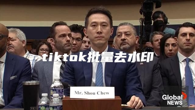 tiktok批量去水印