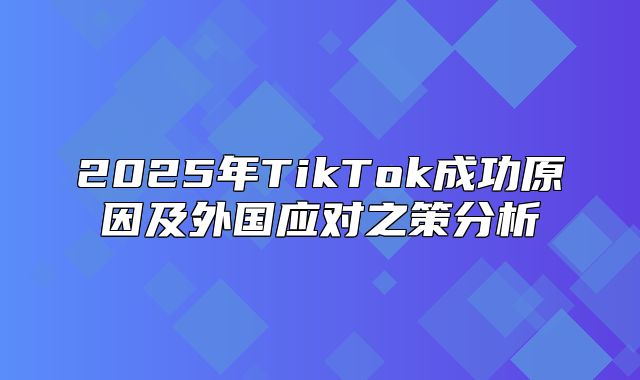 2025年TikTok成功原因及外国应对之策分析
