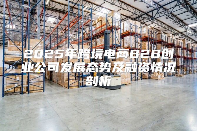 2025年跨境电商B2B创业公司发展态势及融资情况剖析