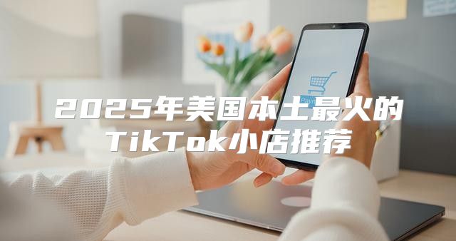 2025年美国本土最火的TikTok小店推荐